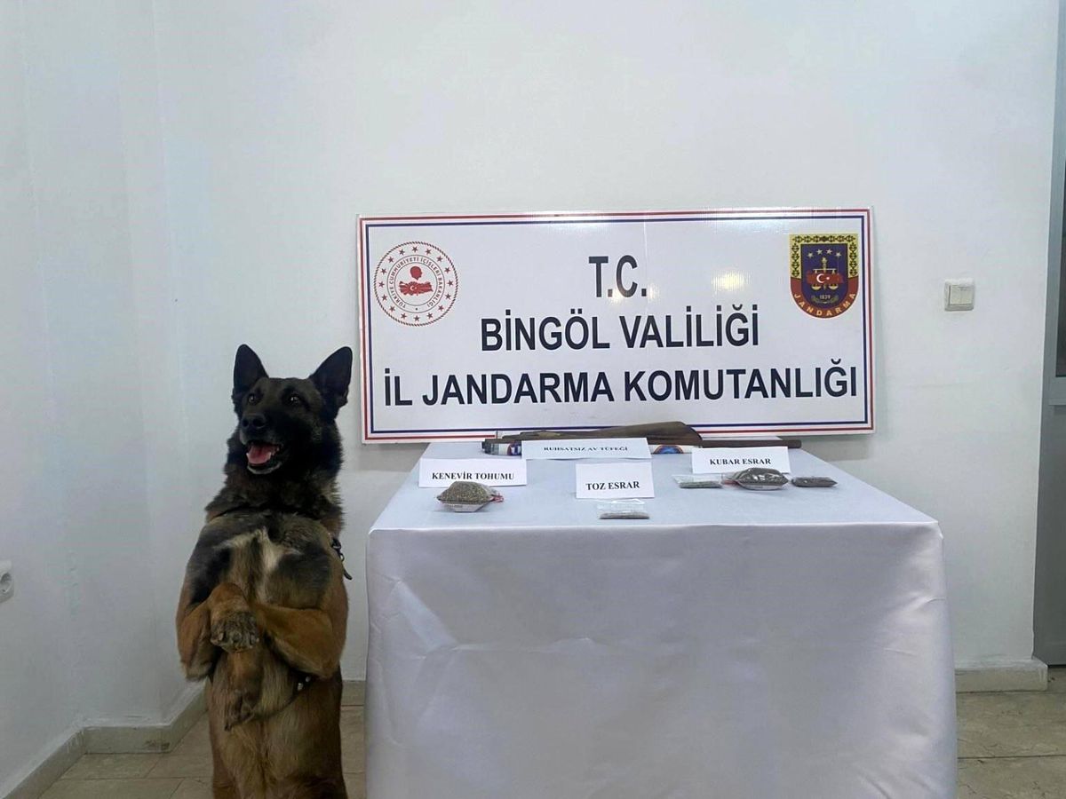 Bingöl\'de Uyuşturucu ve Tüfek Ele Geçirildi