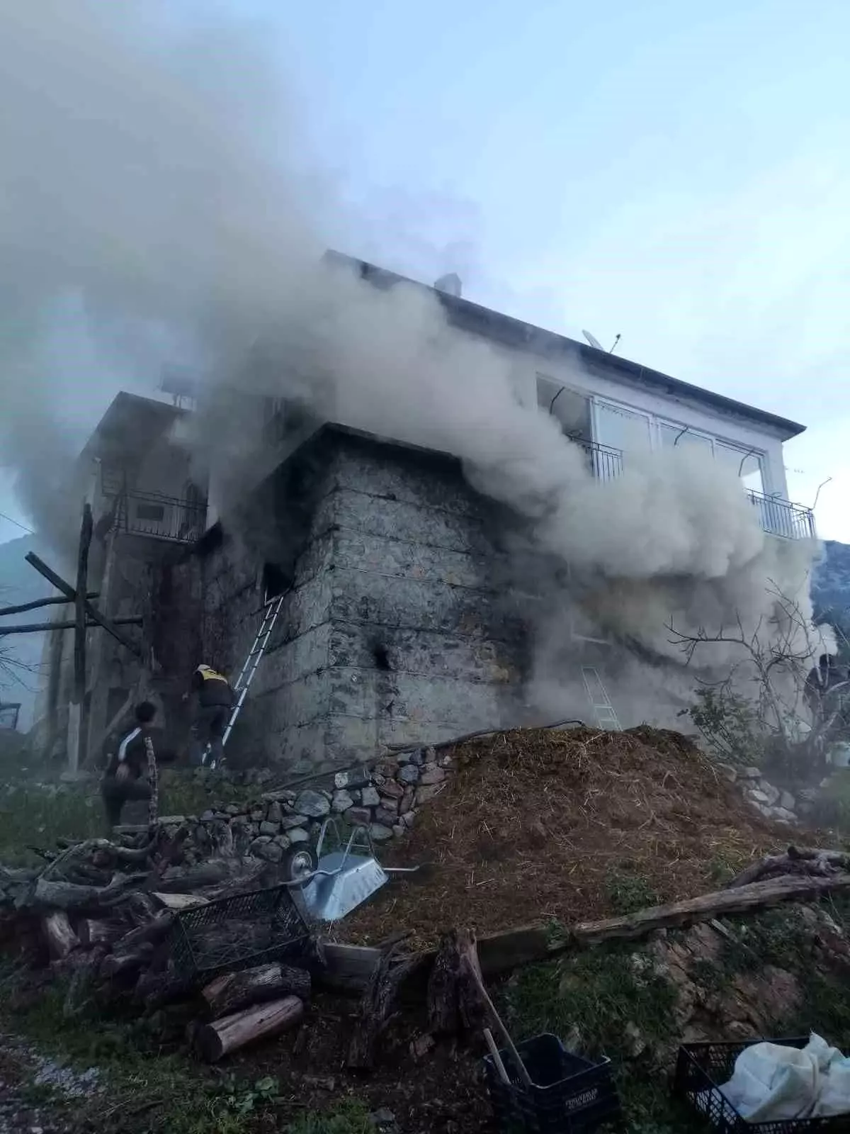 Gazipaşa\'da Yangın: 1 İnek ve Buzağı Telef Oldu