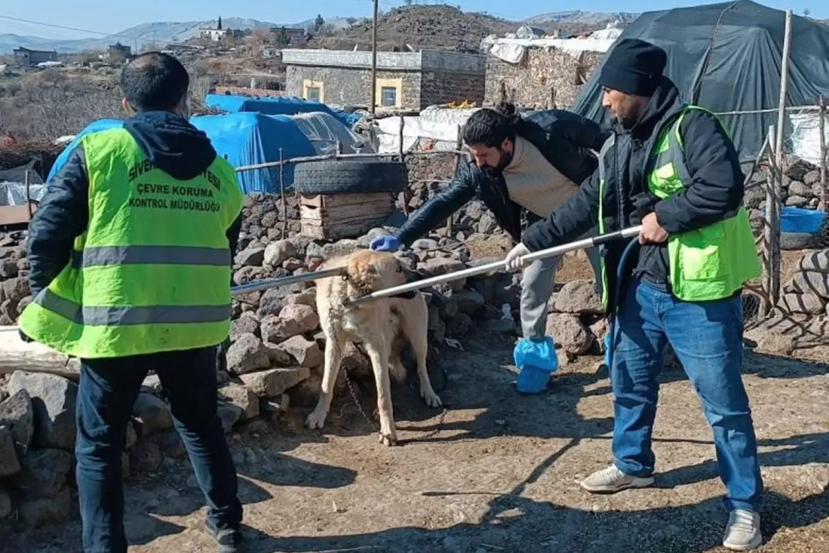 Kuduz köpek 3 kişiyi ısırdı, bölge karantinaya alındı