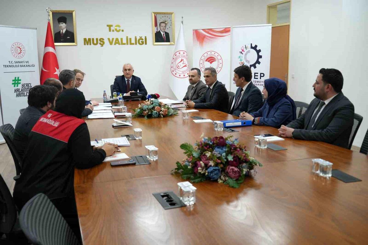 Muş\'ta Kaz Yetiştiriciliği Projesi