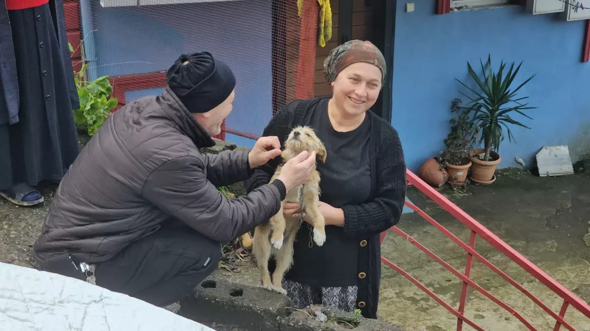 Zonguldak\'ta bir kişi köpeğini çöp kenarına bıraktı