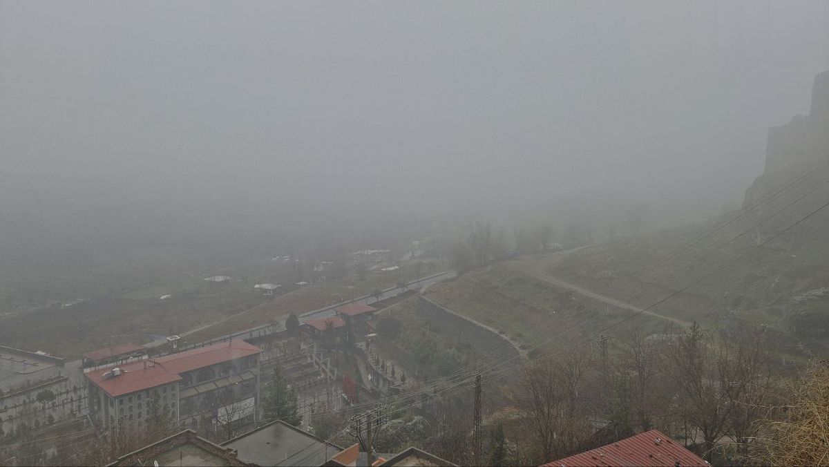 Diyarbakır\'da Kar ve Sis Etkili Oldu