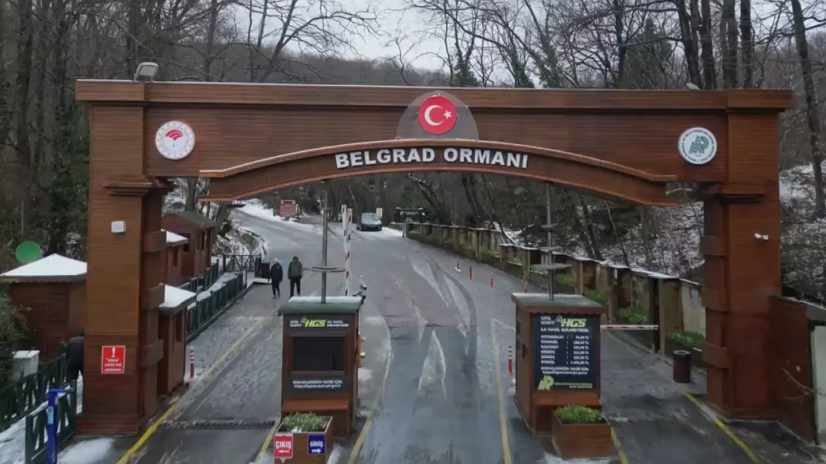 Kadir Çokçetin\'den Belgrad Ormanı\'nın Kış Manzarası