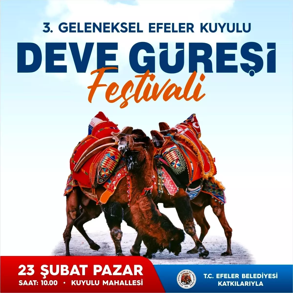 3\'üncü Kuyulu Geleneksel Deve Güreşi Festivali 23 Şubat\'ta