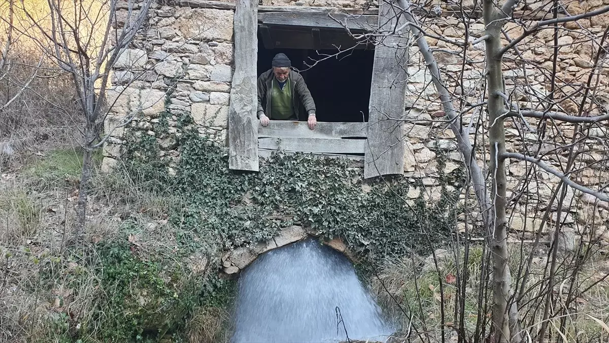 Yüzyıllık Değirmen Yeniden Faaliyette