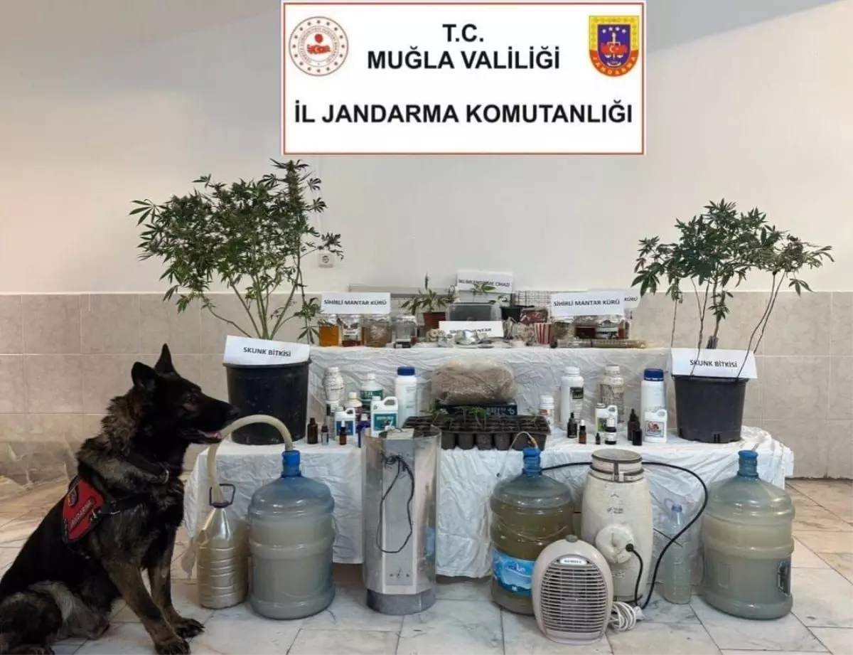 Muğla\'da Jandarmadan Uyuşturucu ve Sahte İçki Operasyonu
