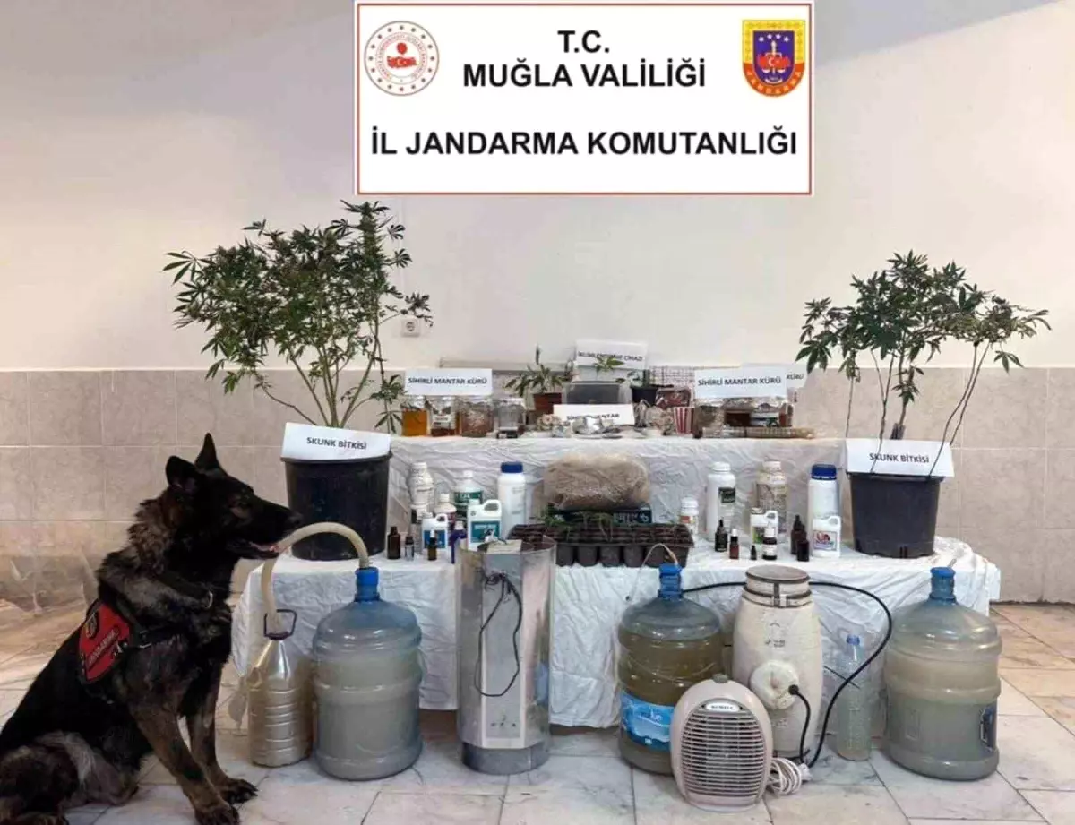 Muğla\'da Uyuşturucu Operasyonu