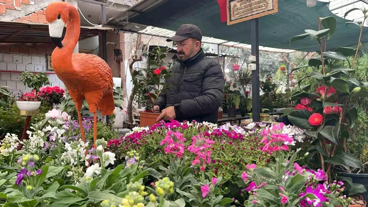 Ağabeyin Hatırası: Botaniskafe Projesi