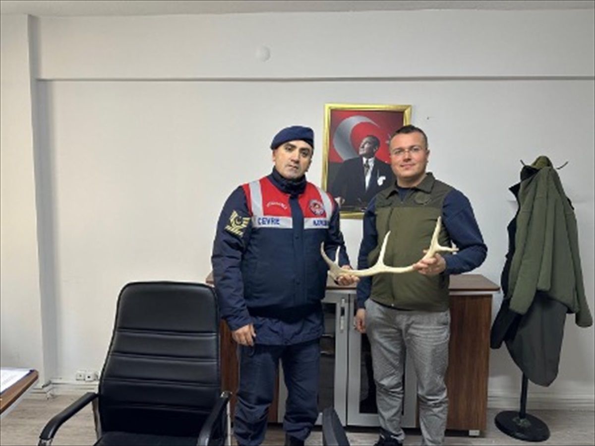 Geyik Boynuzu Satışı Yaparken Yakalandı
