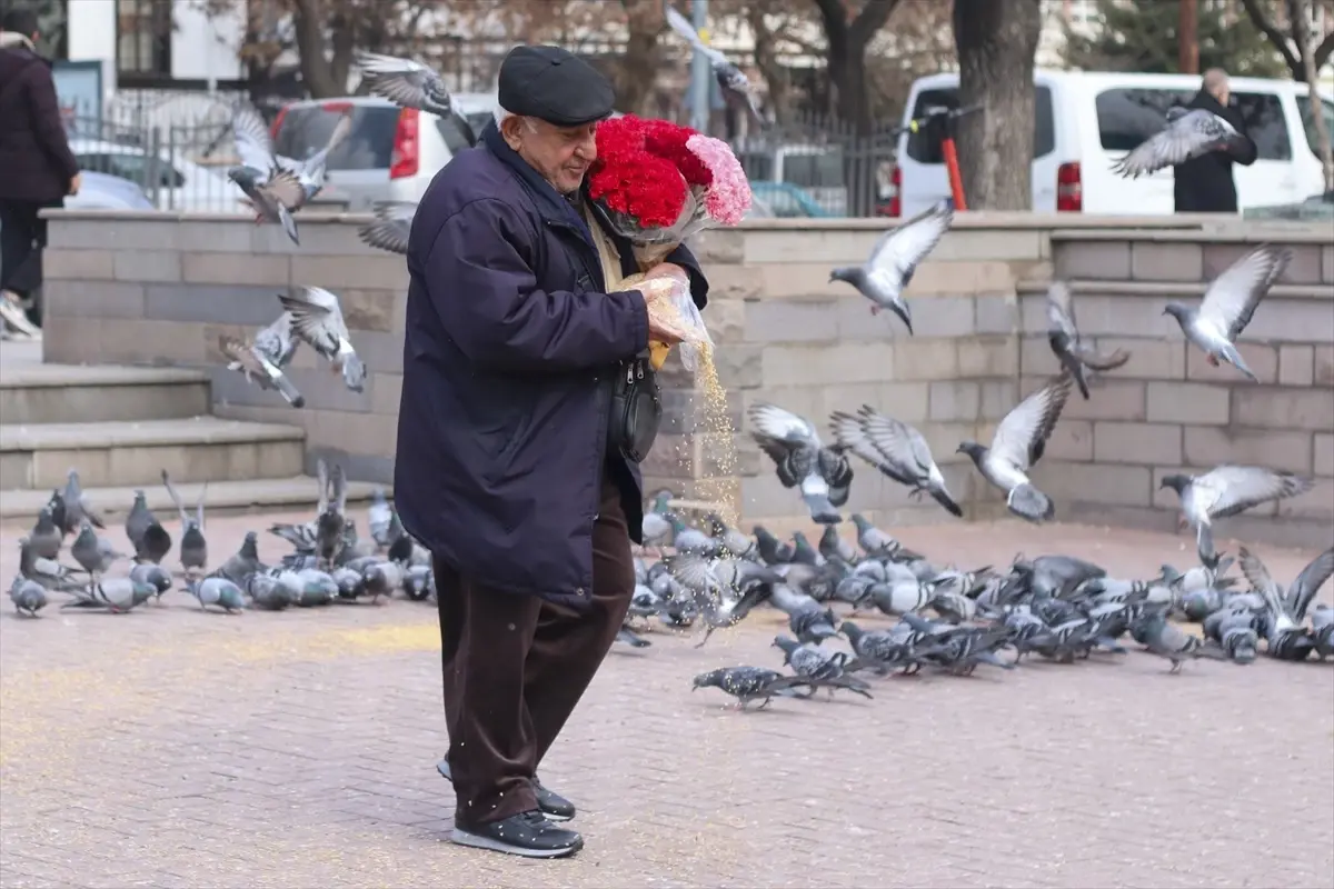 Gül Baba\'nın Nezaketi