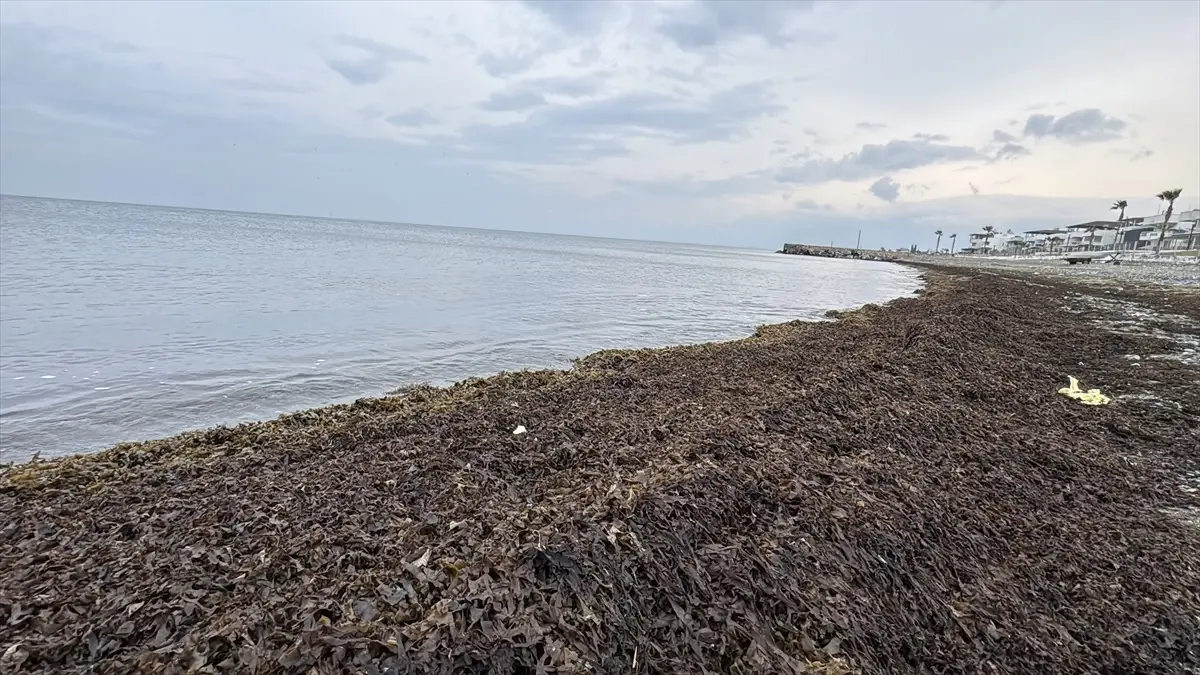 İskenderun ve Arsuz\'da Deniz Suyu Çekildi