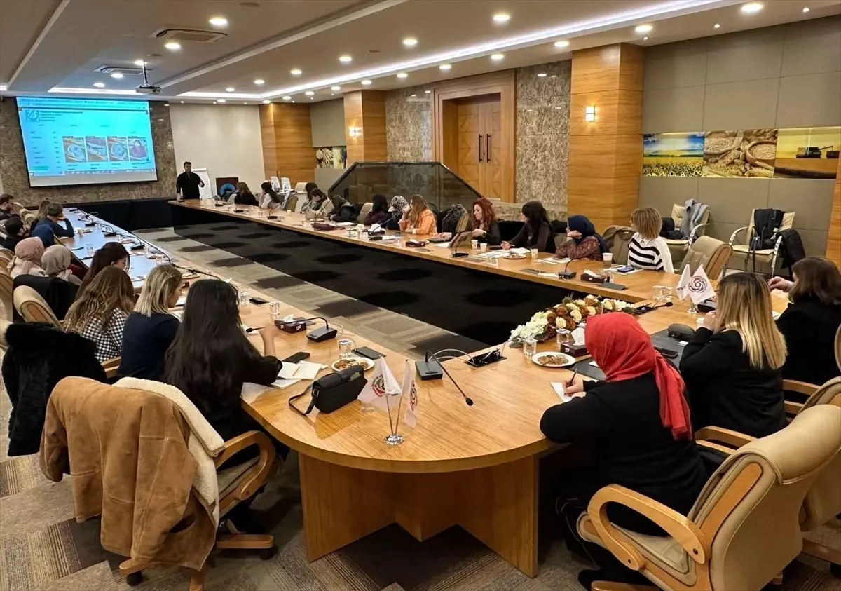 Diyarbakır\'da İş Kadınlarına E-Ticaret Eğitimi