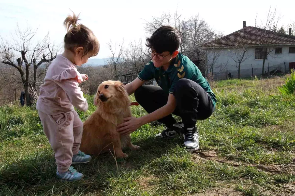 Aile, Patilik Mutlu Sokak Hayvanları Kasabası\'ndan Alex\'i Sahiplendi