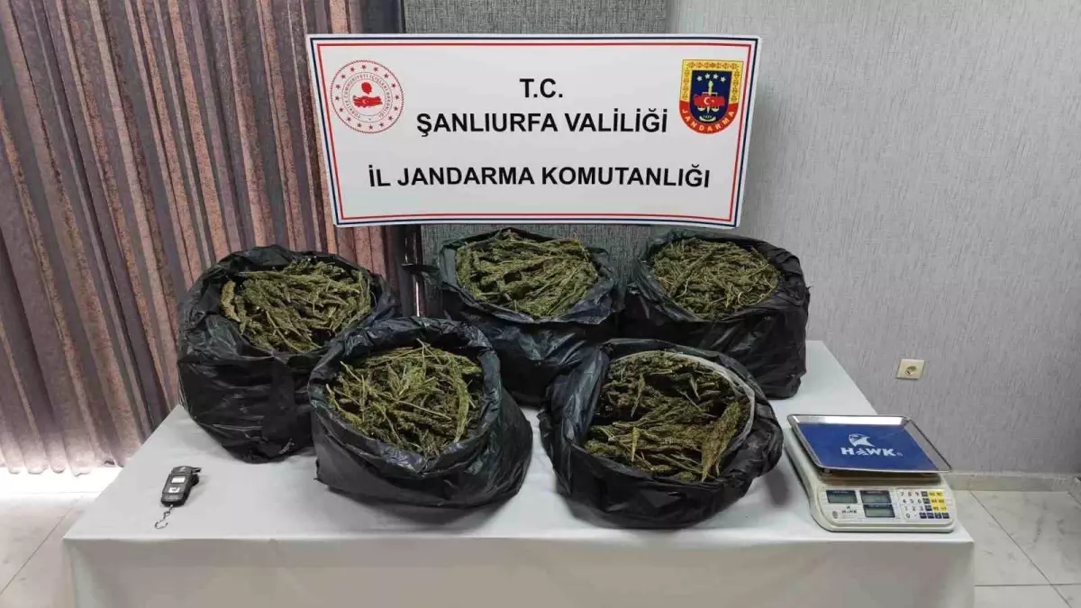 Şanlıurfa\'da Uyuşturucu Operasyonu: 2 Tutuklama