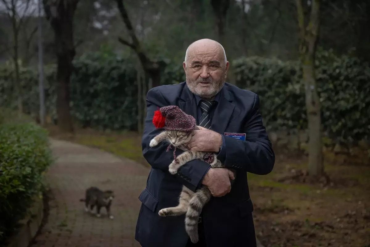Huzurevinde Kedili Yaşam