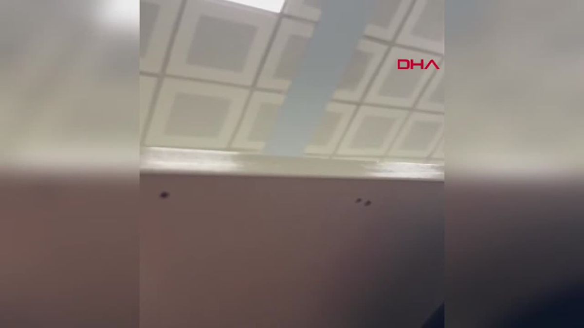 Hastaneyi Pompalı Tüfekle Basan Kadına 10 Yıl Hapis Cezası