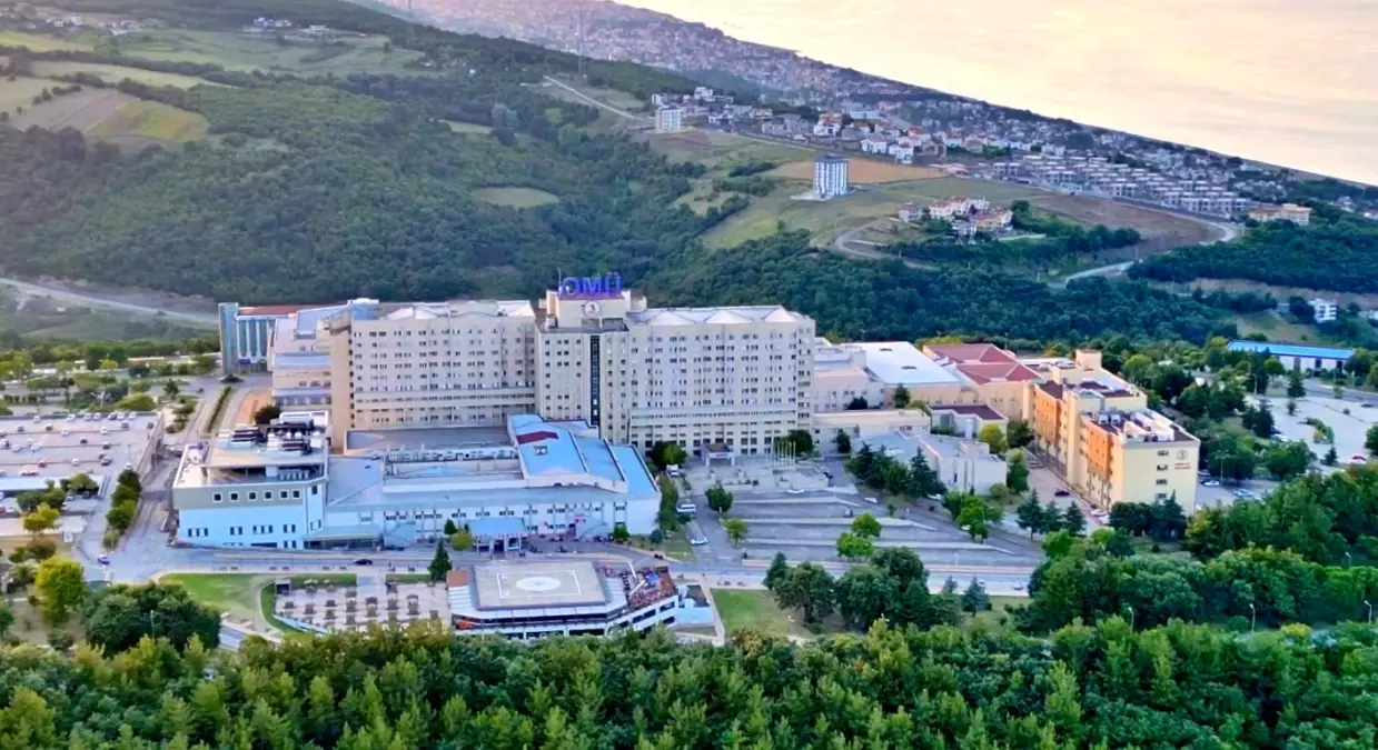 Sağlık sisteminde verimliliği artırılacak yapay zeka tabanlı dil modeli projesi