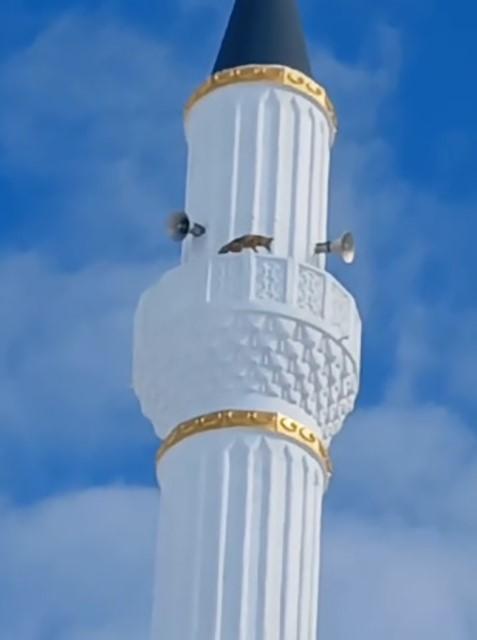 Tamir için gelen usta minareye çıkınca gözlerine inanamadı