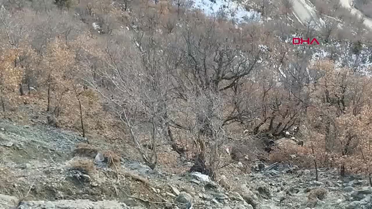 Tokat\'ta Otomobil 400 Metrelik Uçurumdan Yuvarlandı, 4 Yaralı