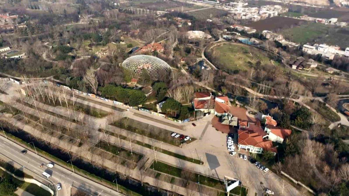 Bursa\'daki Ayılar Kış Uykusunu Unuttu