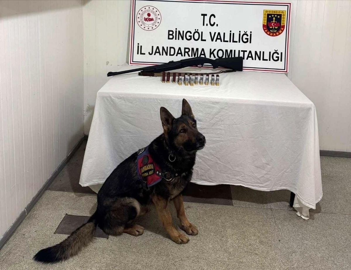 Bingöl\'de 8 Şüpheli Yakalandı