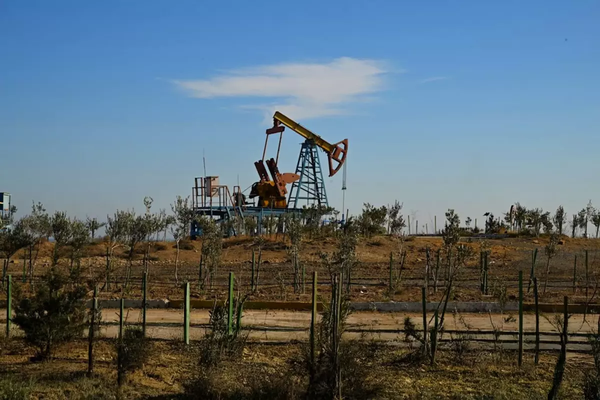 Bir şehirde petrol heyecanı başladı