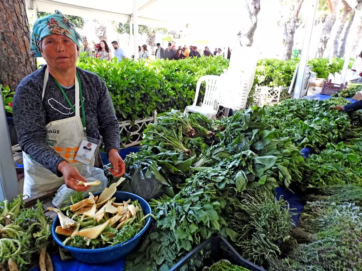 Alaçatı Ot Festivali\'nin Stant Başvuruları Başladı