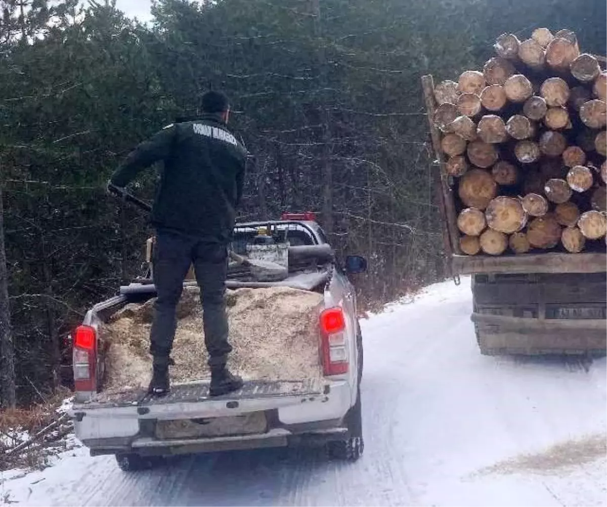 Kar Yağışı Kamyonları Yolda Bıraktı