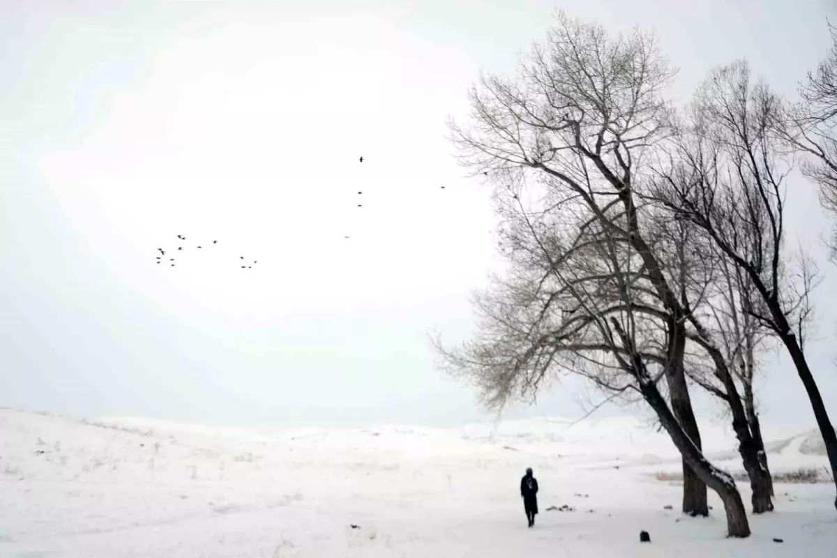 Erzurum\'da Dondurucu Soğuklar