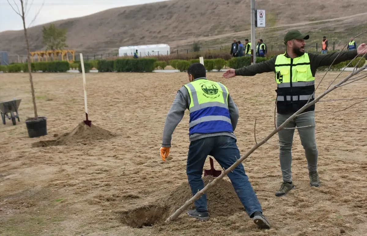 Türkiye, "Geleceğe Nefes Projesi" kapsamında Musul\'a 250 bin fidan hediye etti