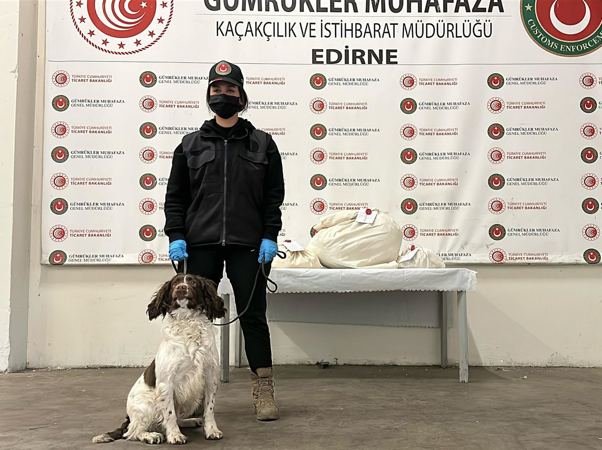 Kapıkule Sınır Kapısı\'nda Uyuşturucu Ele Geçirildi