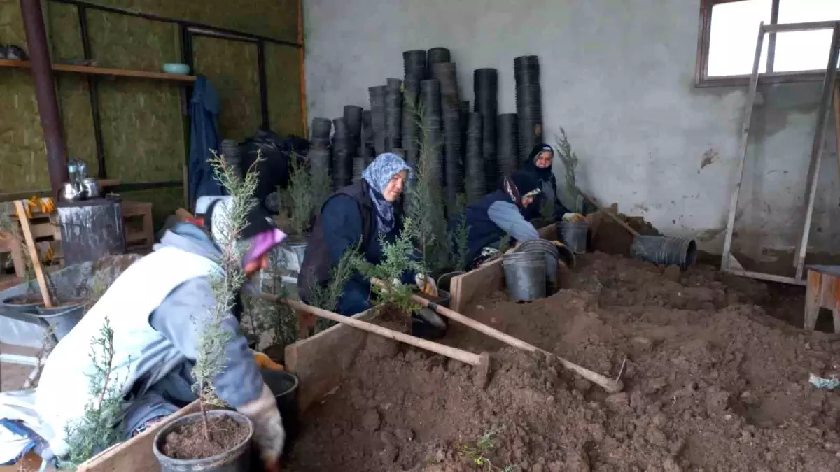 Karacabey Belediyesi\'nden doğaya saygılı estetik çalışmalar