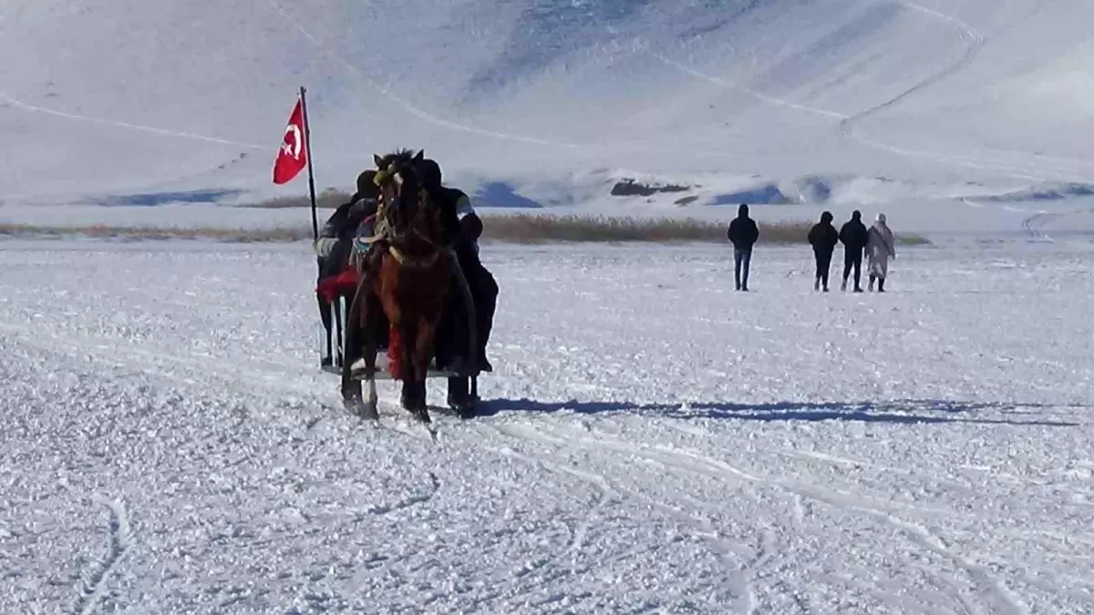 Çıldır Gölü\'nde Atlı Kızak Keyfi