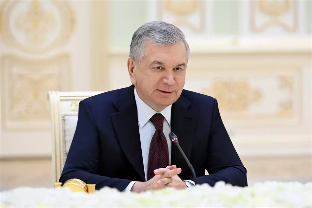 Mirziyoyev, Binali Yıldırım\'ı Kabul Etti