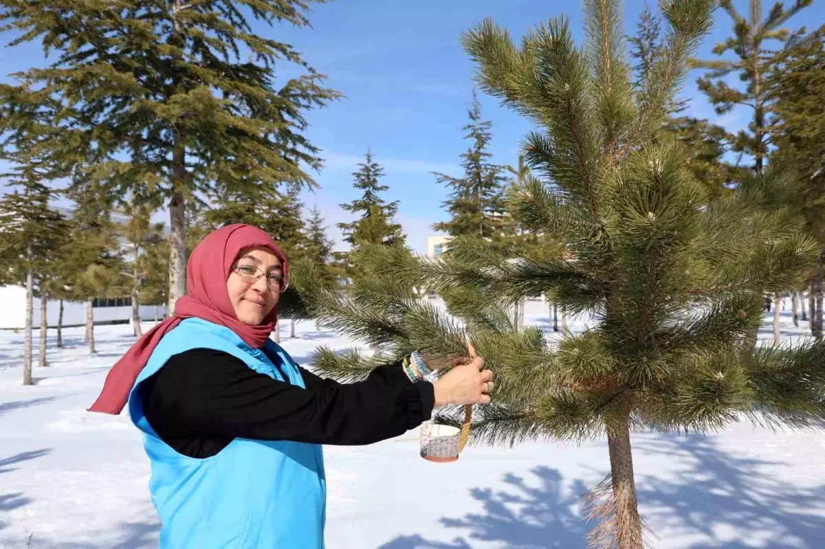 Nevşehir\'de Sokak Hayvanlarına Destek