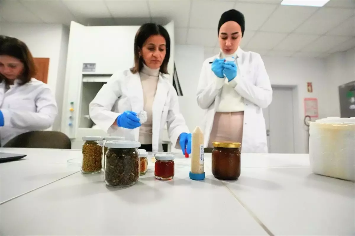 Arı Sütü Kadın Üreme Sağlığını Destekliyor