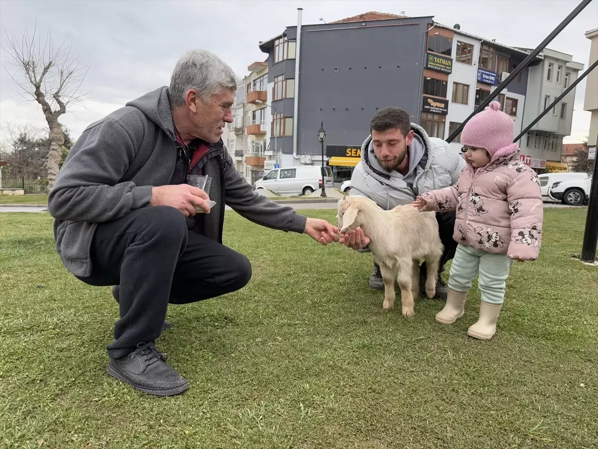 Çay Ocağının Sevimli Oğlağı: Tiryaki