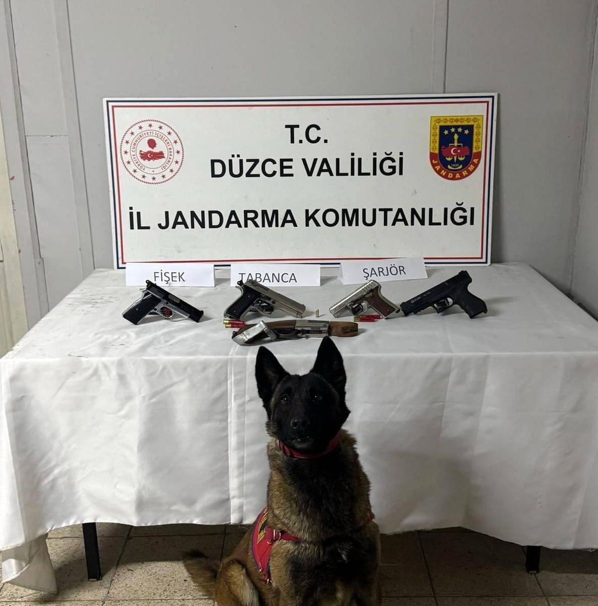 Düzce\'de Ruhsatsız Silah Operasyonu