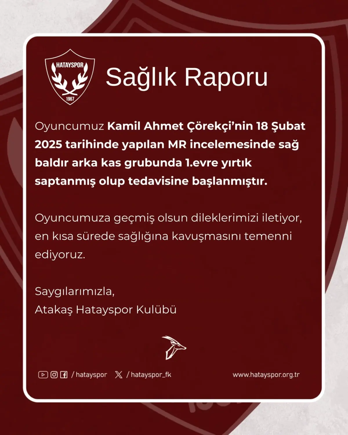 Hatayspor\'un Kaptanı Kamil Ahmet Çörekçi Sakatlandı