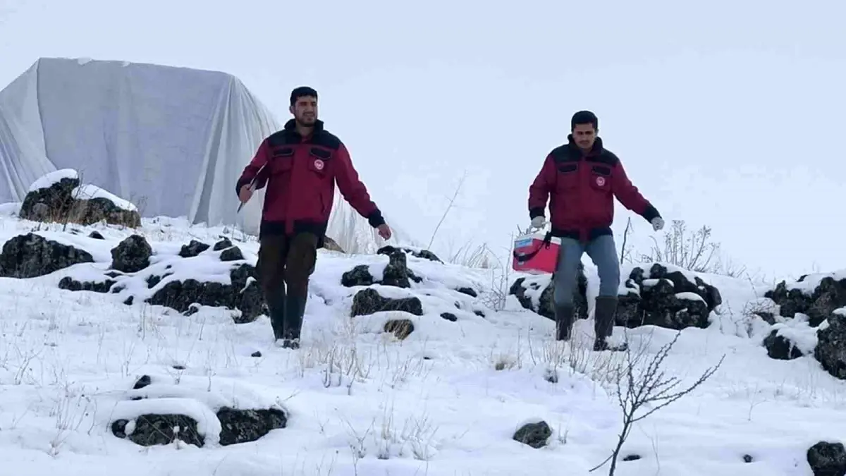 Kışın Zorluğuna Rağmen Veterinerler Sahada