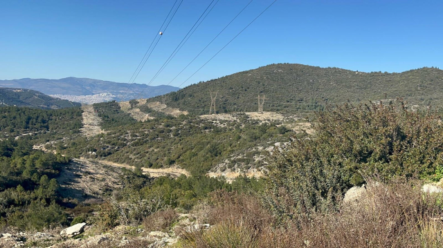 İzmir'de Av Kazası: Baba, Oğlunu Yanlışlıkla Vurarak Öldürdü