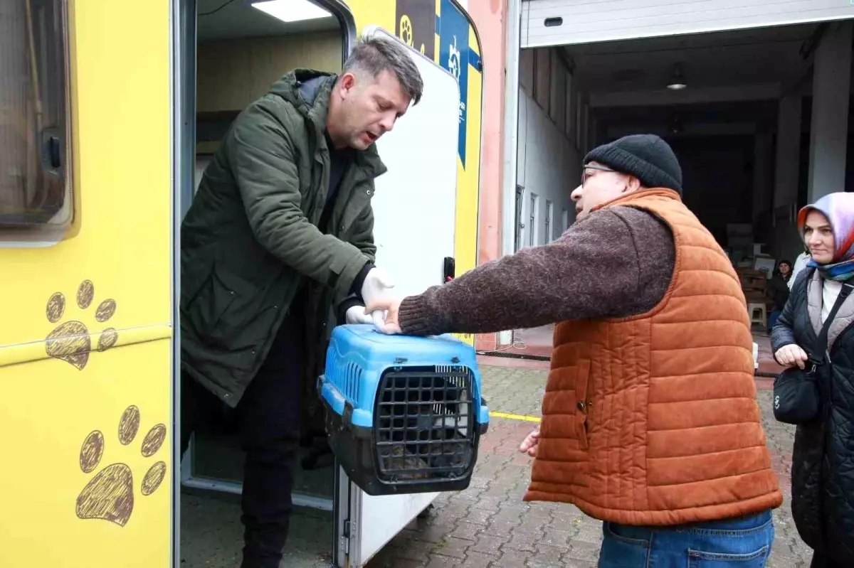 Kocaeli\'de Kısırlaştırma Karavanı ile Sokak Kedilerine Destek