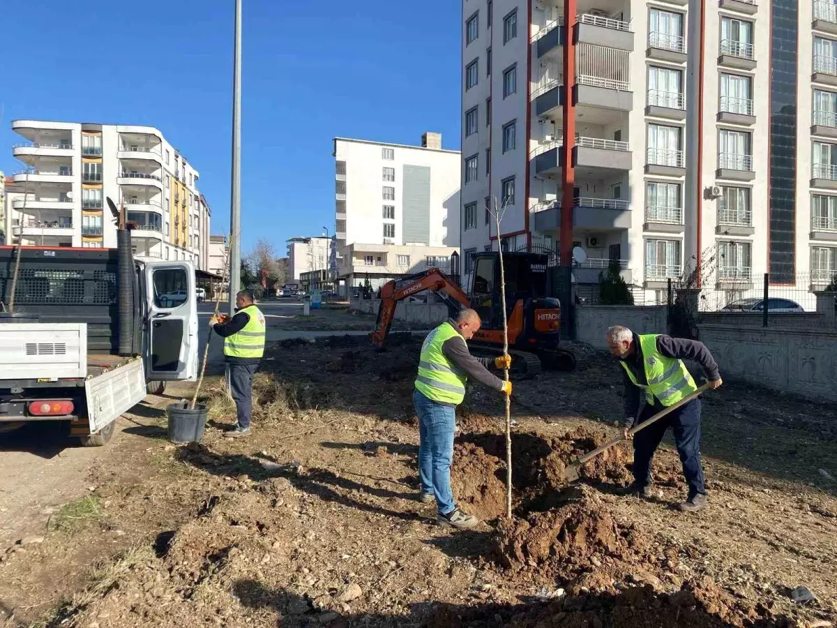 Kahta Belediyesi Ağaçlandırma Çalışmalarıyla Yeşil Gelecek Hedefliyor