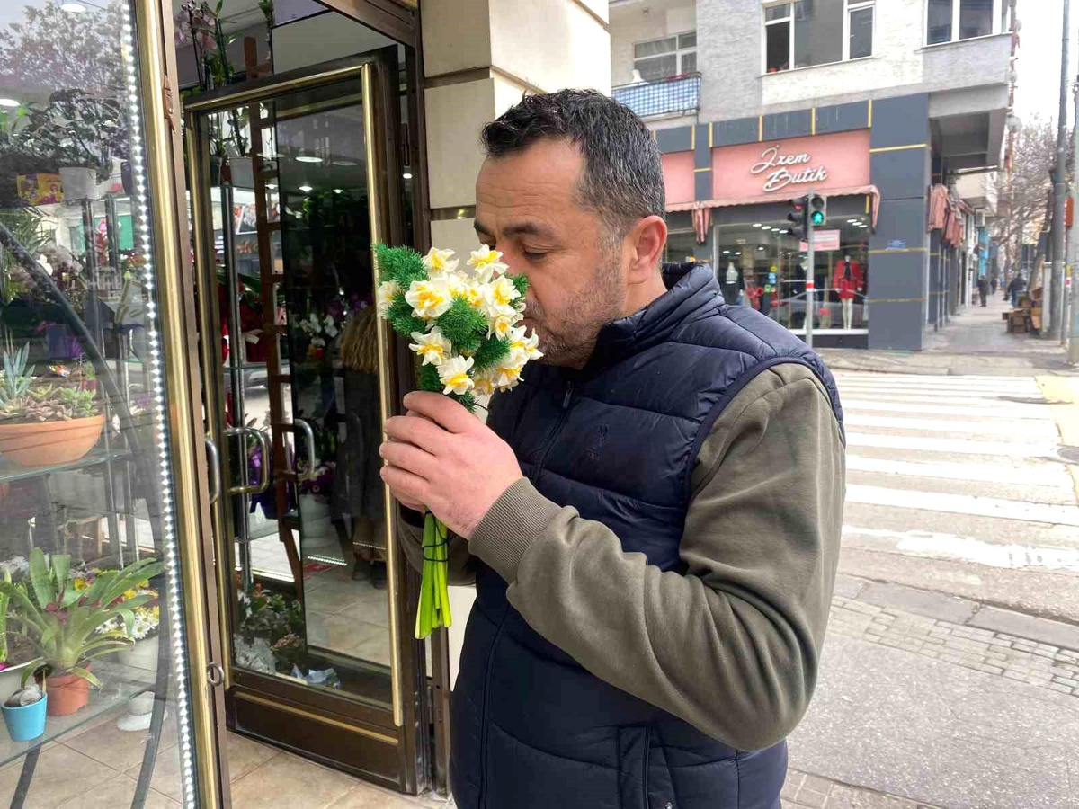 Kışın Nergis Çiçeği Coşkusu