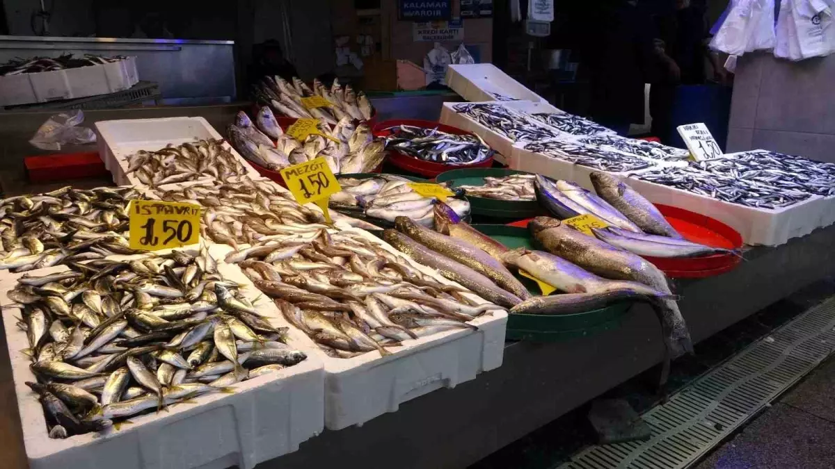 Hamsi Fiyatları Düşmeye Devam Ediyor