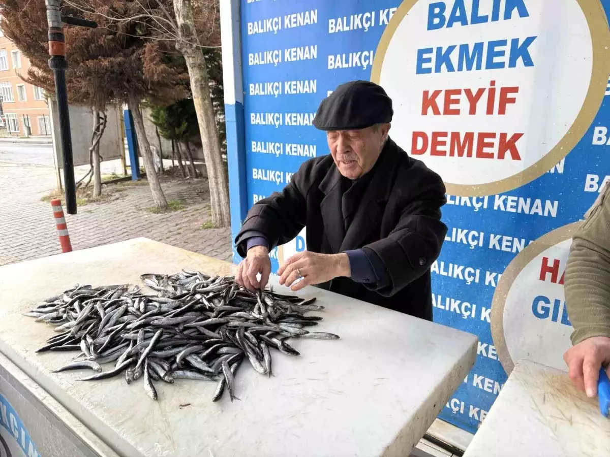 Hava Soğudu, Balık Bolluğu Geldi