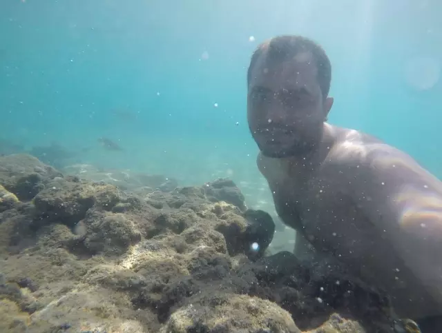 Kızıldeniz'deki Balıklara Alanya'nın S Pastası İkram Edildi