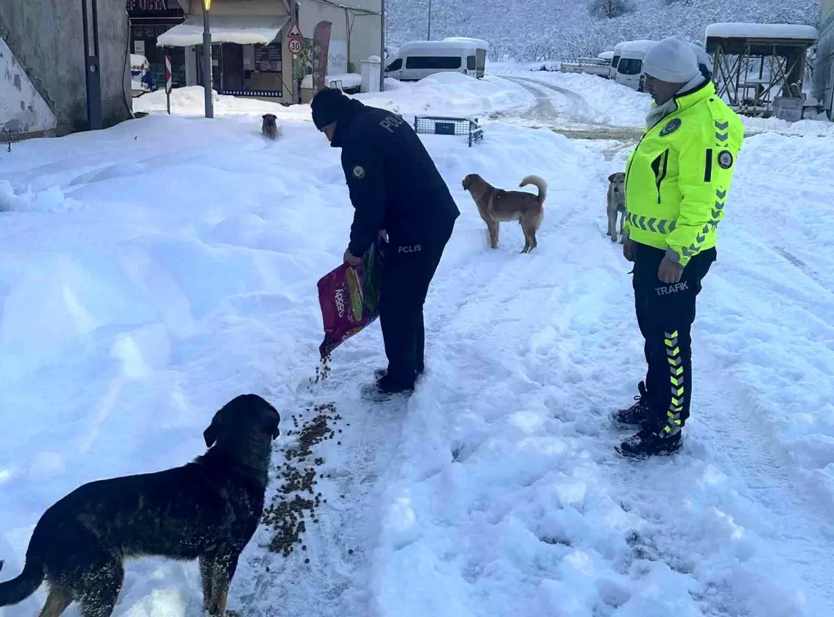 Polis Sokak Hayvanlarına Besleme Yaptı