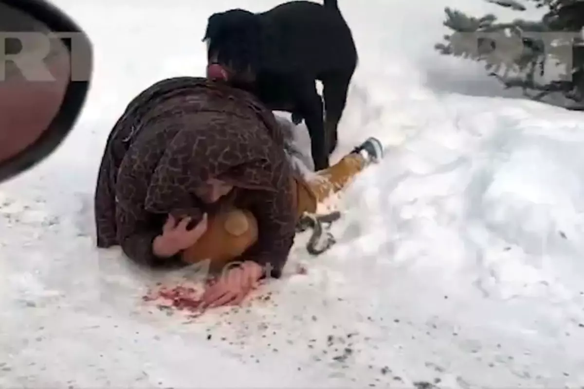 Annelik içgüdüsü böyle bir şey! Çocuğunun üstüne kapanıp kendi vücudunu kalkan yaptı