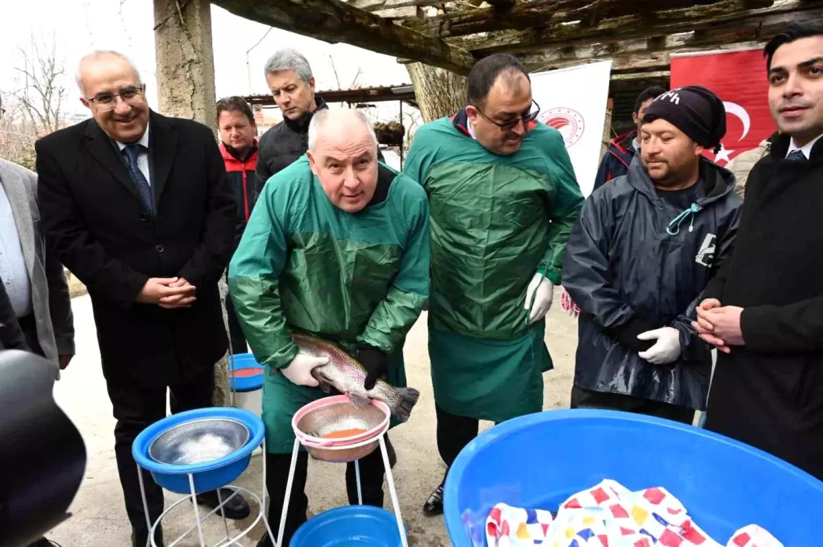 Denizli Valisi Coşkun Alabalık Üretim Tesislerini Ziyaret Etti